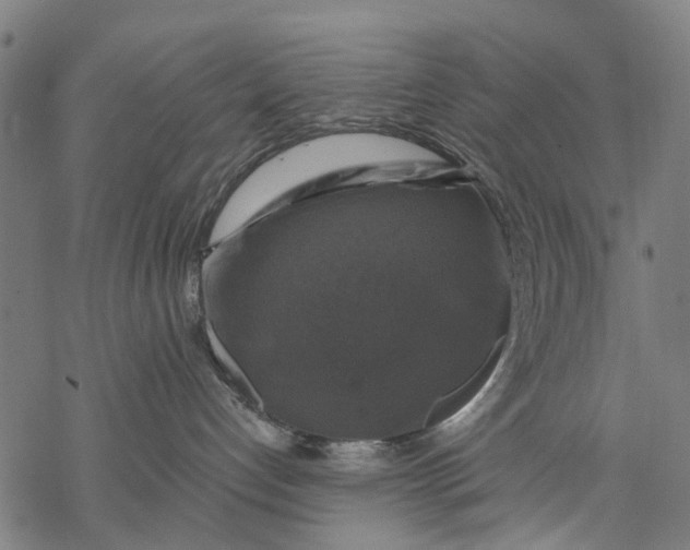 X0000068840192200605261650