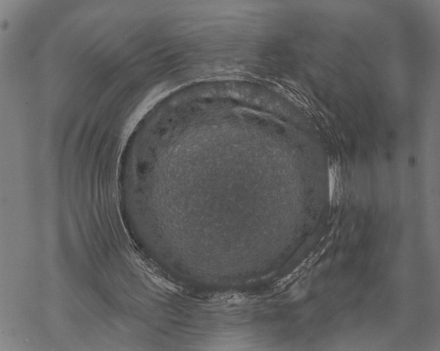 X0000068840195200605261649