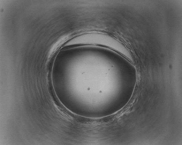 X0000068840197200605261649