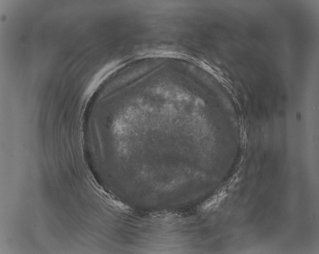 X0000068840199200605261649