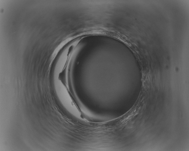 X0000068840200200605261649