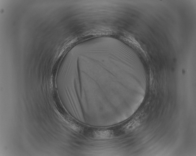 X0000068840202200605261649