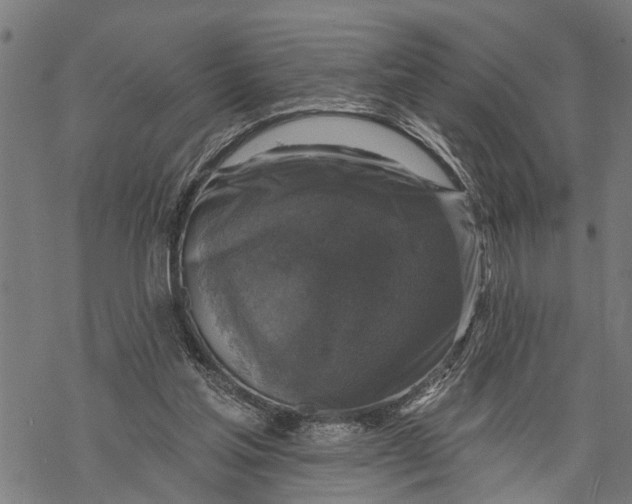 X0000068840205200605261649