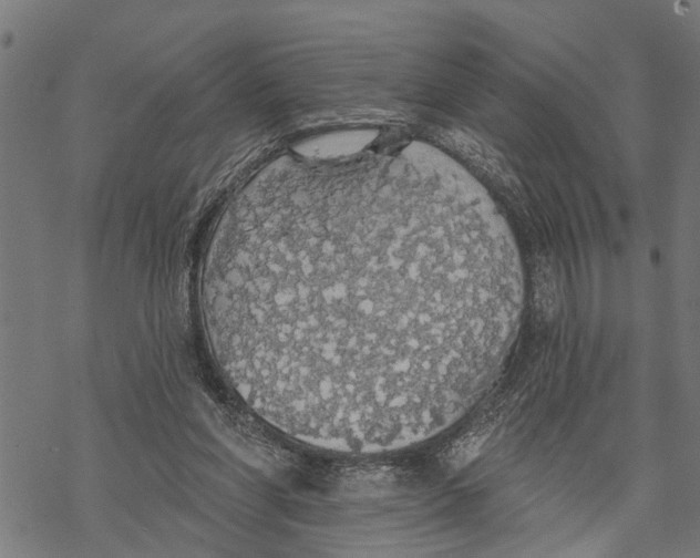 X0000068840206200605261649