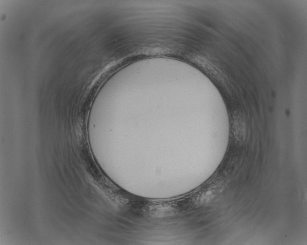 X0000068840208200605261649