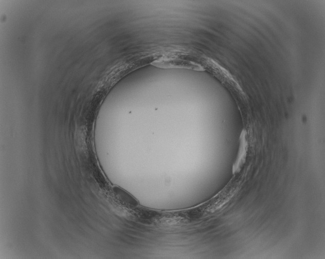 X0000068840209200605261649