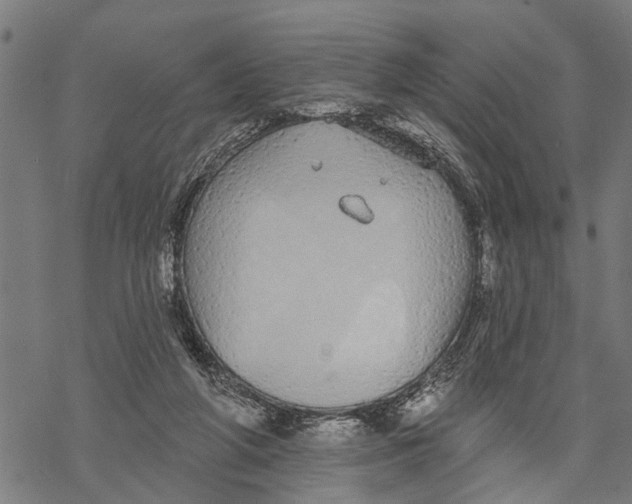 X0000068840210200605261649