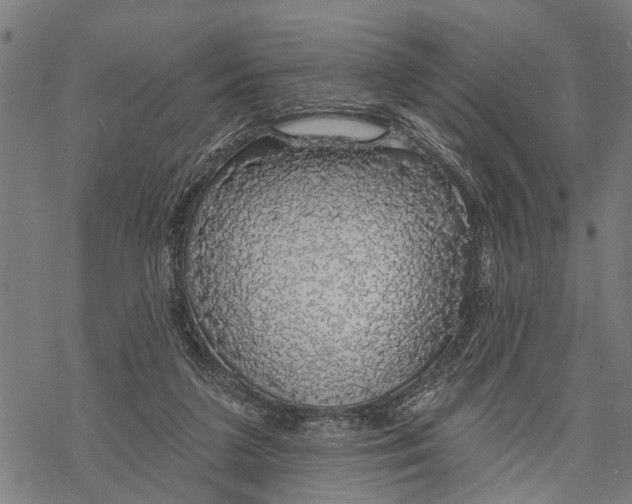 X0000068840211200605261649