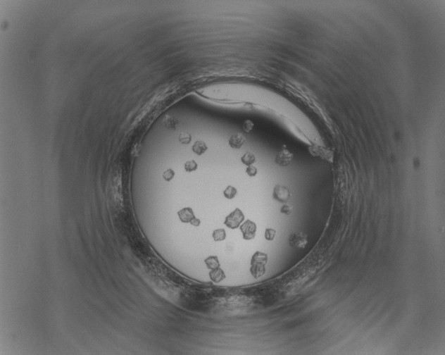 X0000068840212200605261649