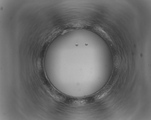 X0000068840213200605261649