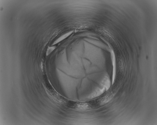 X0000068840214200605261649