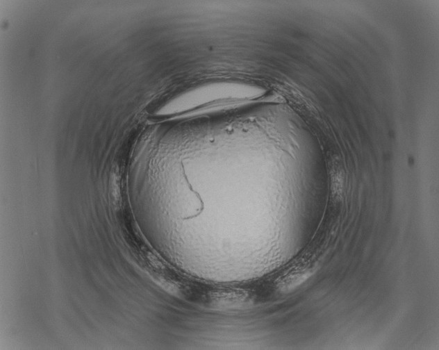 X0000068840215200605261649