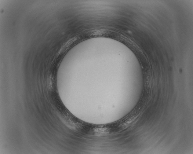 X0000068840216200605261649