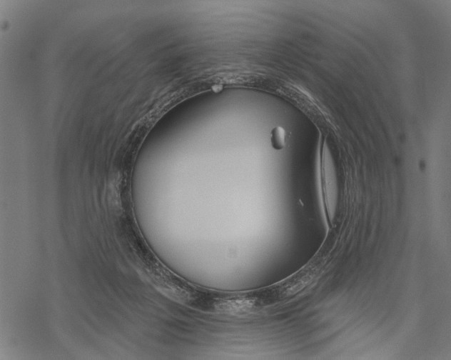 X0000068840217200605261649