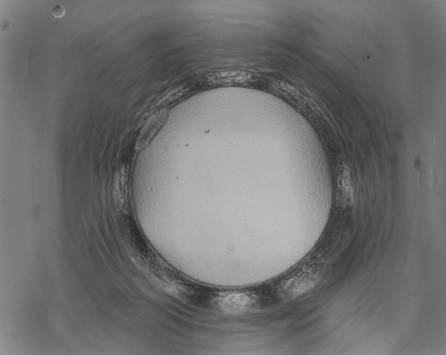 X0000068840218200605261649