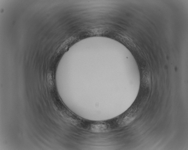 X0000068840220200605261648