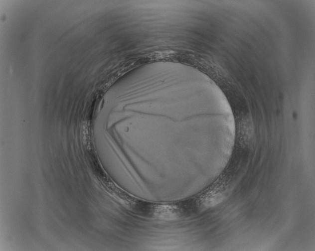 X0000068840222200605261648