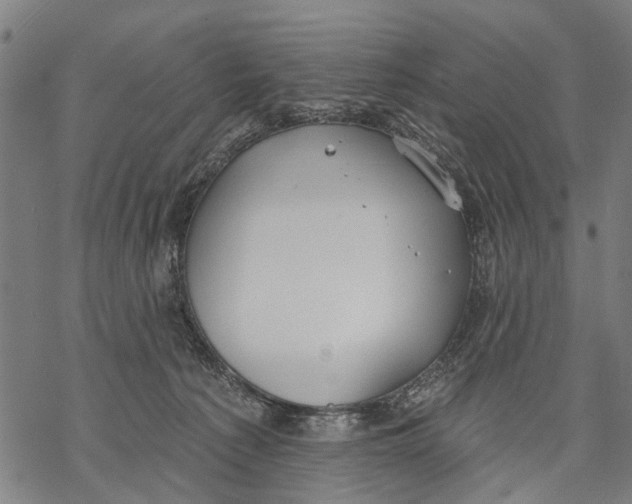 X0000068840225200605261648