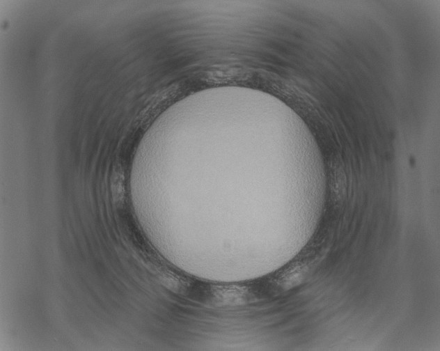 X0000068840226200605261648