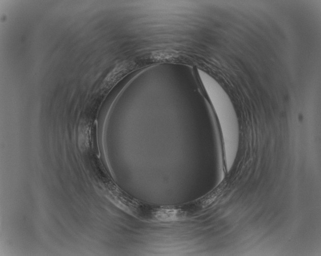 X0000068840227200605261648