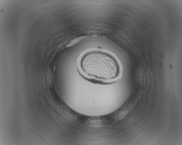 X0000068840228200605261648