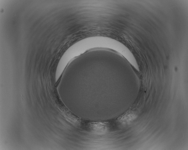 X0000068840229200605261648