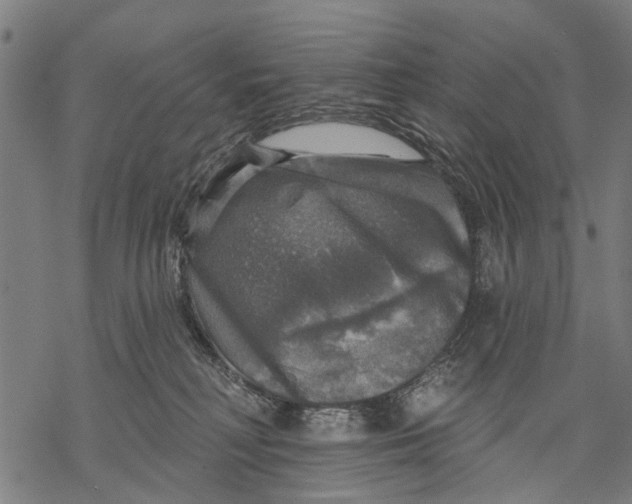 X0000068840230200605261648