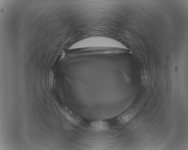 X0000068840231200605261648