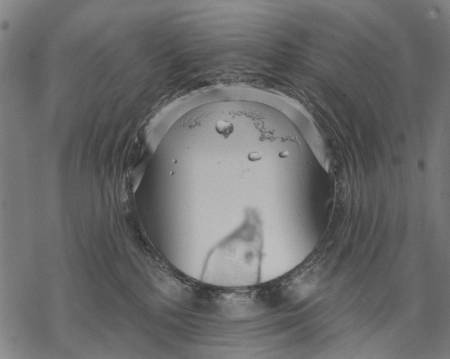 X0000068840232200605261648