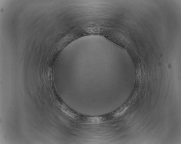 X0000068840233200605261648