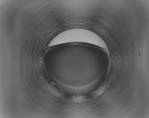 X0000068840235200605261648