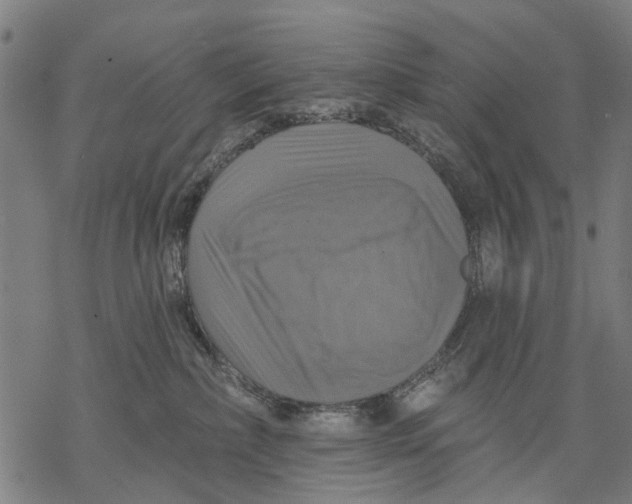 X0000068840236200605261648