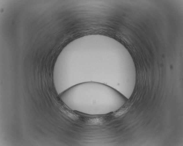 X0000068840237200605261648