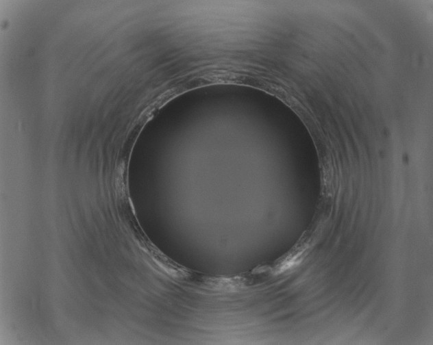 X0000068840239200605261648