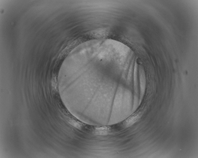 X0000068840240200605261648