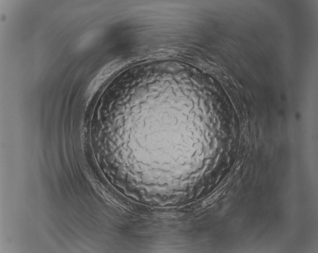 X0000068840242200605261647