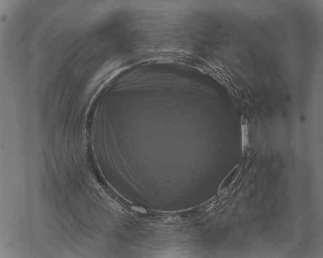 X0000068840243200605261647