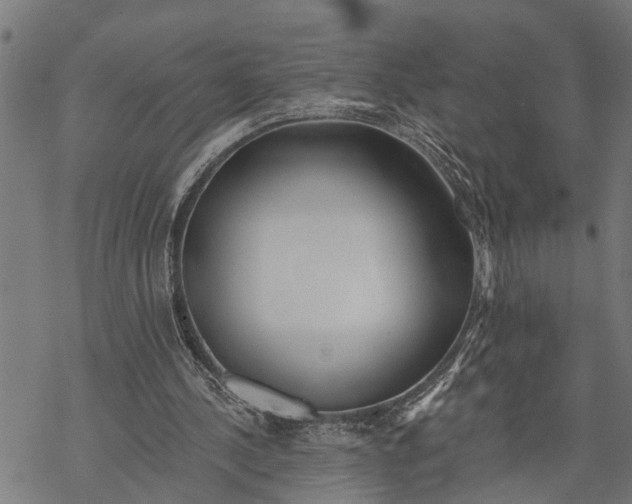 X0000068840244200605261647