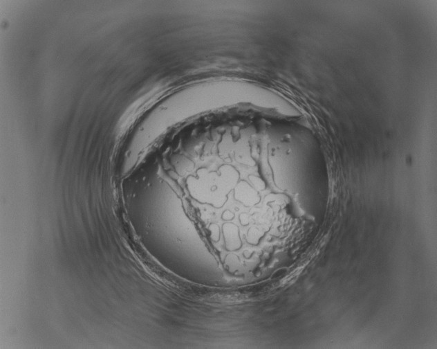 X0000068840245200605261647