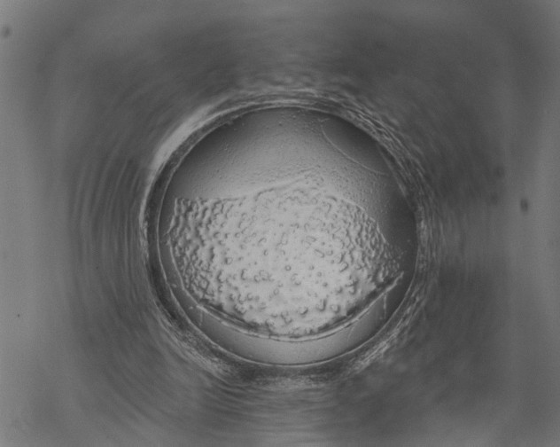 X0000068840246200605261647