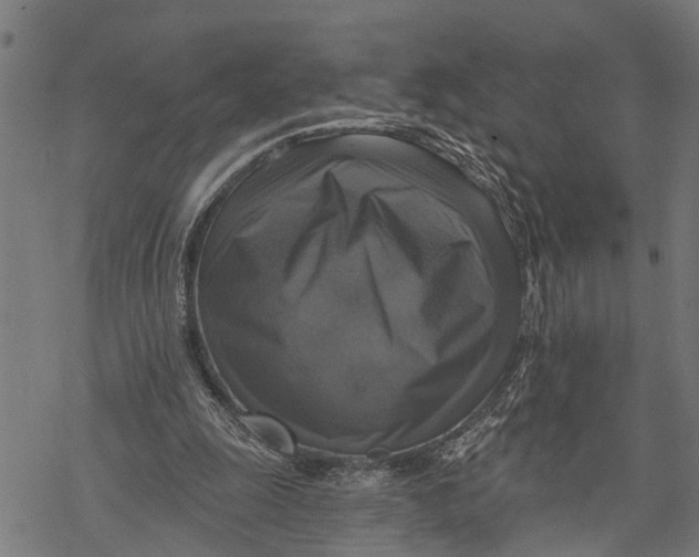 X0000068840247200605261647