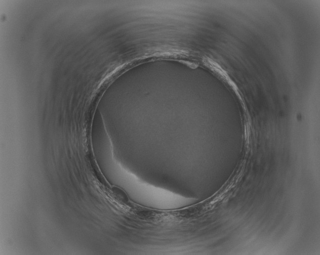 X0000068840249200605261647