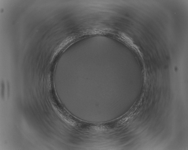 X0000068840250200605261647