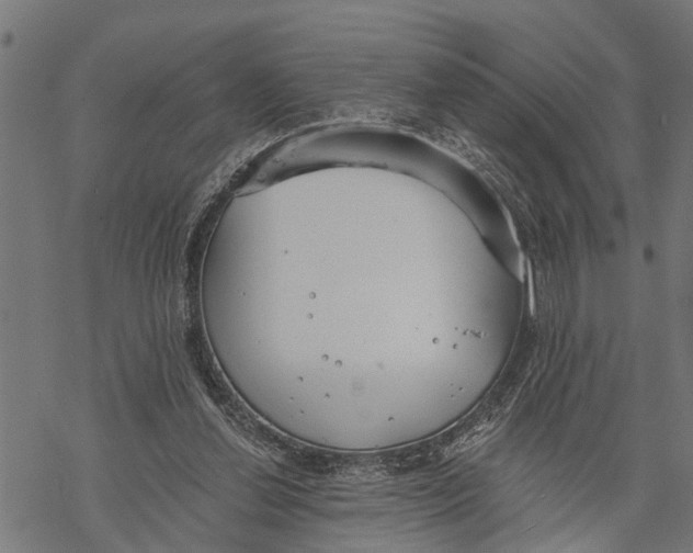 X0000068840252200605261647