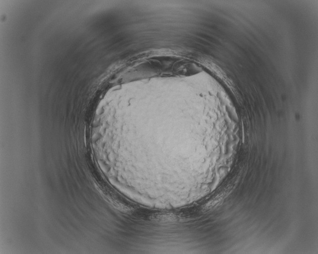 X0000068840253200605261647