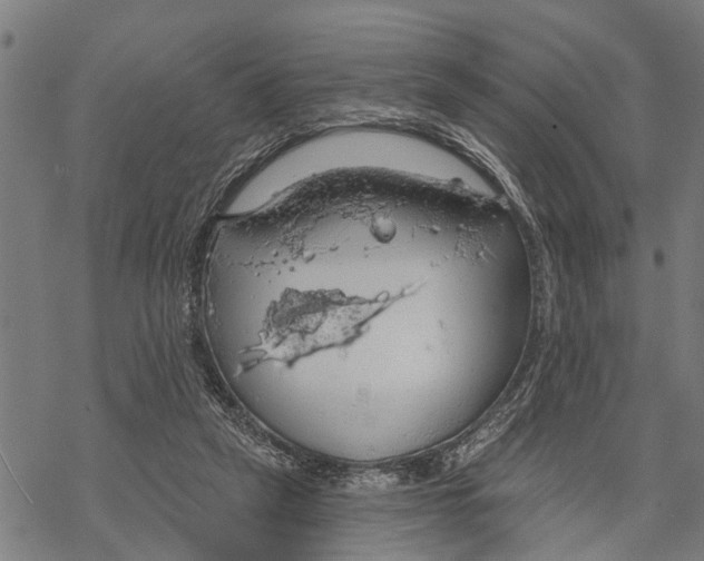 X0000068840257200605261648