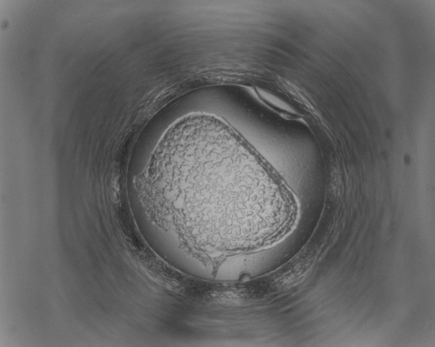 X0000068840259200605261648