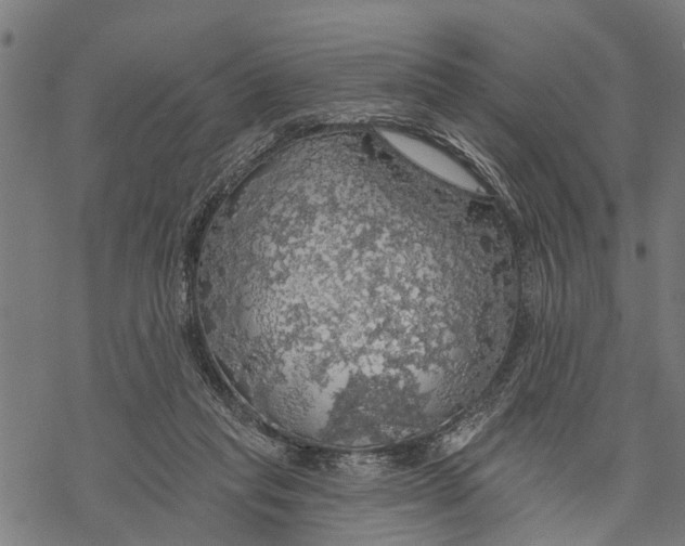 X0000068840261200605261648