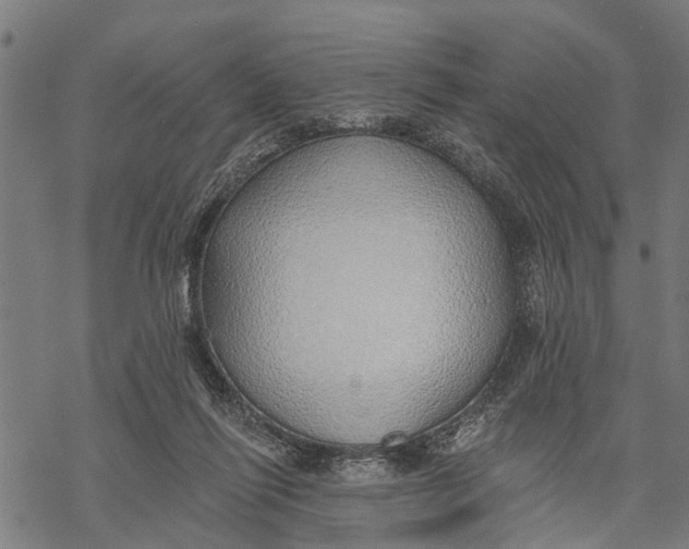 X0000068840262200605261648