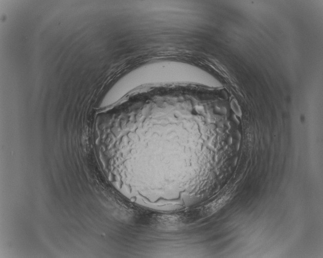 X0000068840265200605261648